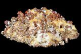 Ruby Red Vanadinite Crystals on Pink/Orange Barite - Morocco #80526-1